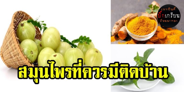 กรมแพทย์แผนไทยฯออกประกาศ “13 ตำรับยาแผนไทย” ที่ควรมีไว้ในตู้ยาประจำบ้าน