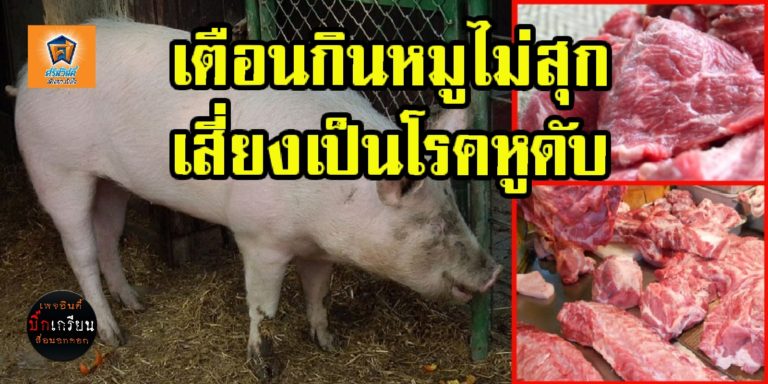 เตือนกินหมูสุกๆ ดิบๆ เสี่ยงต่อ‘ไข้หูดับ’