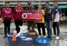 สภ.เมืองสมุทรสงครามสร้างความมั่นคงทางอาหารให้ครอบครัวตำรวจ จับมือซีพีเอฟ ทำน้ำปลาจาก “ปลาหมอคางดำ”