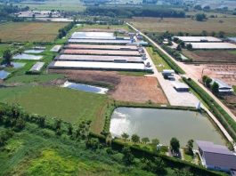 “ชนิสราฟาร์ม” ฟาร์มหมูหมื่นตัวที่เติบโตด้วยสองมือ และหัวใจไม่หยุดเรียนรู้