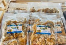 ถึงเวลาหาทางออกอย่างรอบคอบ ปลาหมอคางดำ เป็นอาหารได้ไม่มีพิษ