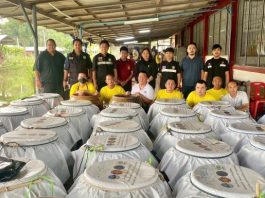 ประมงสมุทรสาครผนึกกำลังเรือนจำจังหวัดสมุทรสาคร จับปลาหมอคางดำทำน้ำปลา สร้างแบรนด์ “หับเผย สมุทรสาคร”