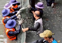 กรมประมงเผยปลาหมอคางดำลดลงชัดเจน โชว์ผลสำเร็จมาตรการบูรณาการทั่วประเทศ