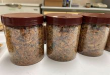 “เนื้อปลาฟู” นวัตกรรมเพิ่มมูลค่าปลาหมอคางดำ ปรุงได้หลายเมนู หนุนบริโภคเพื่อลดสัตว์ต่างถิ่น