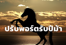 รู้เก็บรู้ออม : ปรับพอร์ตรับปีม้า!!