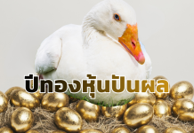 รู้เก็บรู้ออม : ปีทองหุ้นปันผล