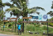 โมเดลของชาวหัวไทรเห็นผล ใช้ประโยชน์เชิงเศรษฐกิจควบคุมประชากรปลาต่างถิ่น