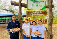 โรงเรียน ตชด.ค็อกนิสไทยฯ กับ “ไข่ไก่” มื้อกลางวันที่เด็กสร้างเอง