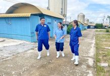 ทิ้งชีวิตต่างแดน กลับเชียงใหม่เลี้ยงหมู ทางเลือกที่มั่นคงของ “ศิริรัตน์ ยั่งยืน”