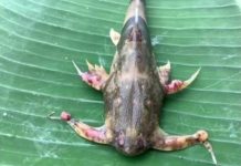 เตือนภัยคนไทย! วิกฤตสารพิษในแหล่งน้ำคุกคามคนไทย