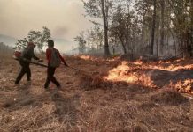 PM2.5 : วิกฤตอากาศไร้พรมแดน ความจริงที่ไม่ได้มีแค่ด้านเดียว