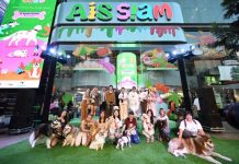 AIS SIAM จับมือ PMCU จัดกิจกรรม Pet Club สำหรับเจ้าสี่ขาครั้งแรกกลางสยาม!ปักหมุดคอมมูนิตี้คนรักสัตว์เลี้ยง จัดต่อเนื่องทุกเสาร์ที่สองของเดือนตลอดปี
