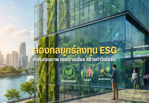 ส่องกลยุทธ์ลงทุน ESG