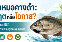 ปลาหมอคางดำ วิกฤตหรือโอกาส?