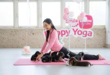 เมืองไทยประกันชีวิต จัดกิจกรรมสุดเอ็กซ์คลูซีฟ “PUPPY YOGA BKK” ชวนลูกค้าดูแลสุขภาพและฮีลใจไปกับเหล่าน้องหมาสุดคิวท์
