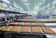 CPF ชูยุทธศาสตร์ ‘5 Goods’ ขับเคลื่อนธุรกิจไก่ไข่ยุคใหม่ย้ำเป้าหมายสร้างความสุขให้สังคมและโลก มากกว่าเพียงผลกำไร