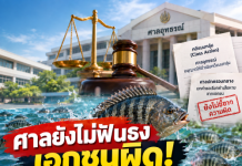 ศาลยังไม่ฟันธงเอกชนผิด! คดีปลาหมอคางดำเดินหน้าต่อ แต่ความรับผิดยังต้องพิสูจน์