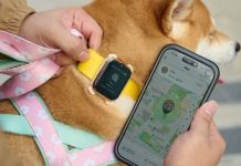 AIS เปิดตัว “SMART Pets Phone” พลิกโฉม Pet Tracker สู่ “สมาร์ตโฟนประจำตัว” ของสัตว์เลี้ยง เชื่อมต่อแบบเรียลไทม์ พร้อม GPS และ Video Call ไม่มีค่า Subscription รายเดือน
